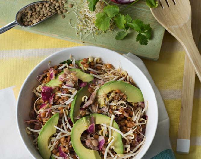 Ensalada de lentejas con brotes y palta