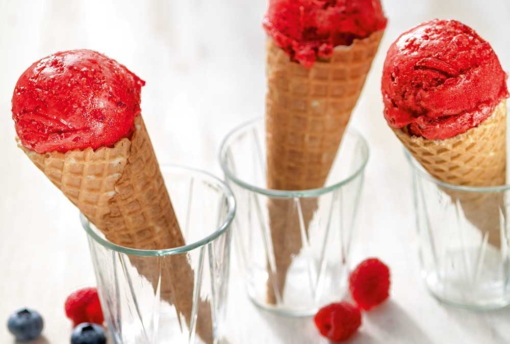 HELADO CREMOSO DE FRUTAS (Frutillas, Frambuesas, Duraznos, Damascos, Frutos Del Bosque, Mango, Etc.)