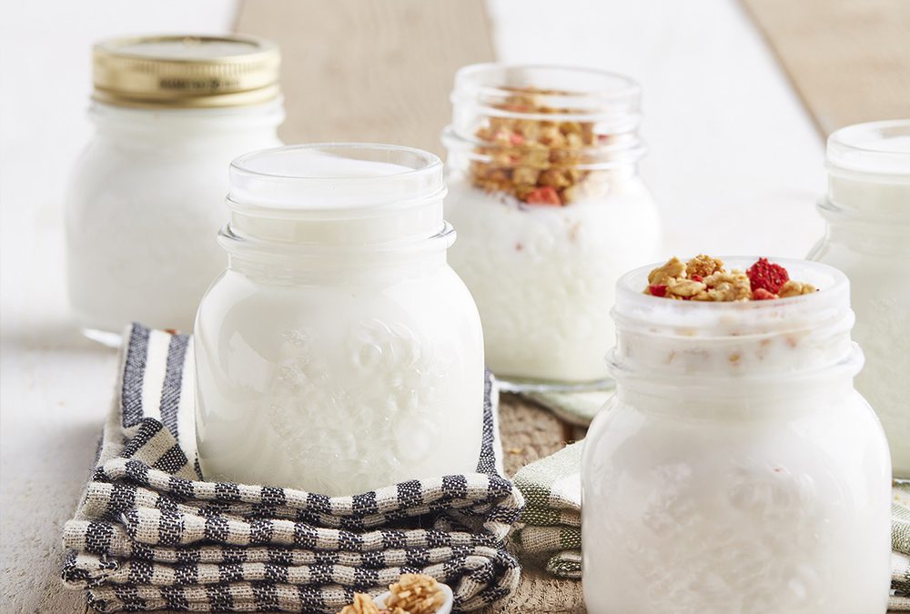 YOGURT NATURAL (GRIEGO)
